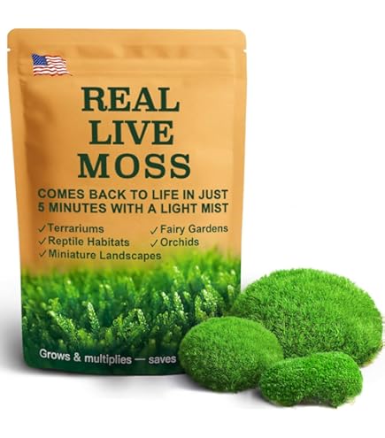 Amazon.com: Fresh Real Live Moss Variety Pack for Orchids & Mini